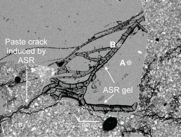 								 								 								 ASR gel and cracking						